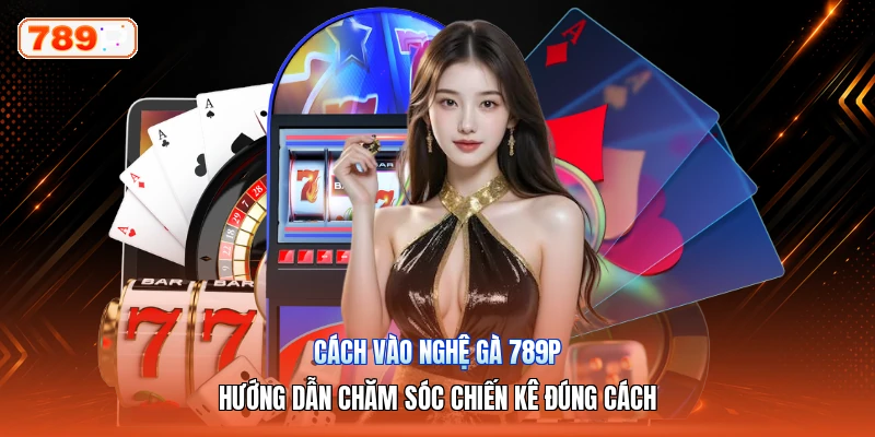Cách Vào Nghệ Gà 789P – Hướng Dẫn Chăm Sóc Chiến Kê Đúng Cách